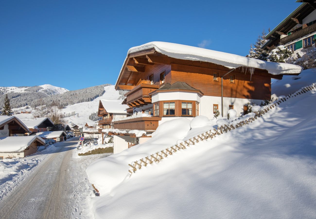 Apartment in Saalbach - Landhaus Simone - Gipfelnest