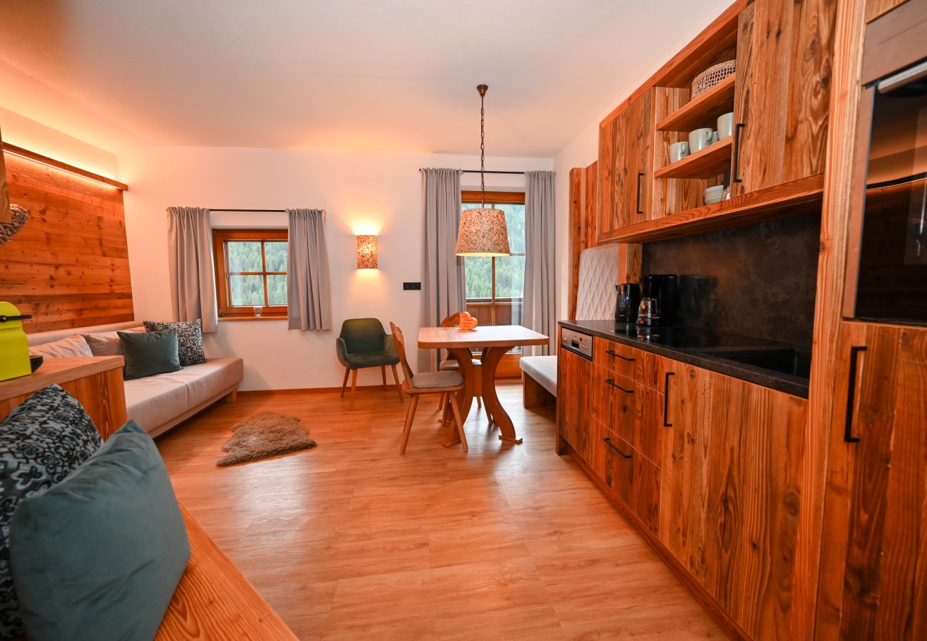 Ferienwohnung in Saalbach - Landhaus Simone - Gipfelnest