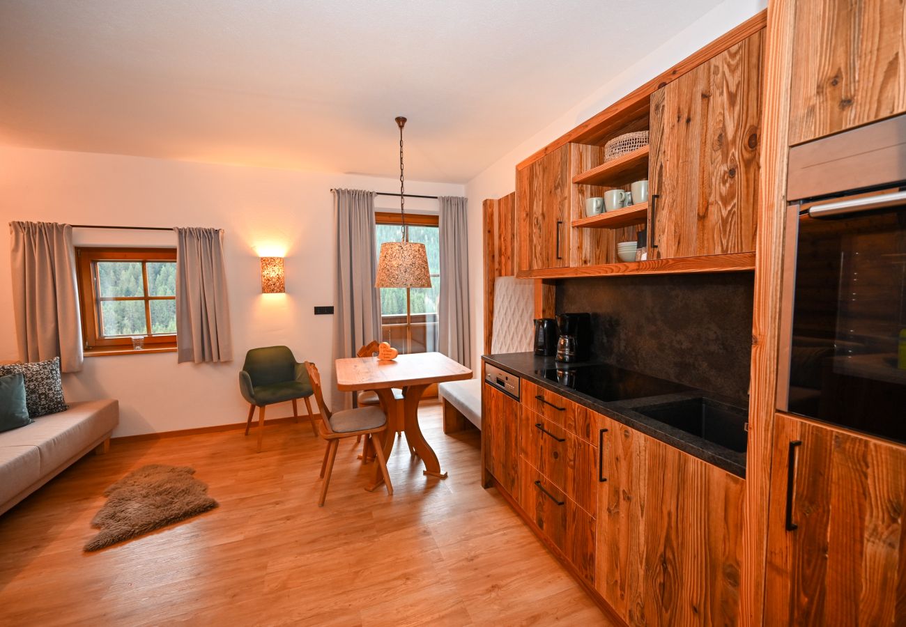 Ferienwohnung in Saalbach - Landhaus Simone - Gipfelnest