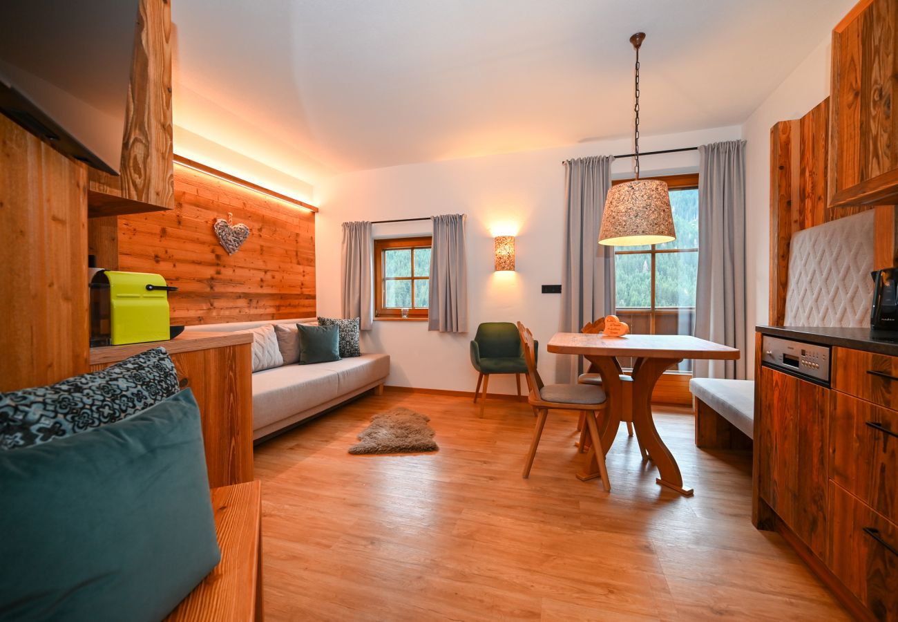 Ferienwohnung in Saalbach - Landhaus Simone - Gipfelnest